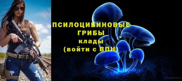 круглые Аркадак
